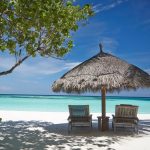 Solo choose board belize