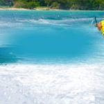 Florida water sports panama beach city parasailing sea